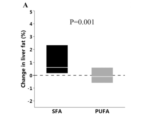 illustration showing the striking difference in liver fat levels between fatty acid-enriched diet groups.